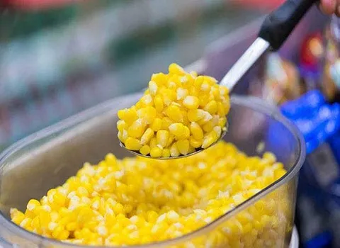 خرید و قیمت کنسرو ذرت شیرین بزرگ شیراز + فروش صادراتی